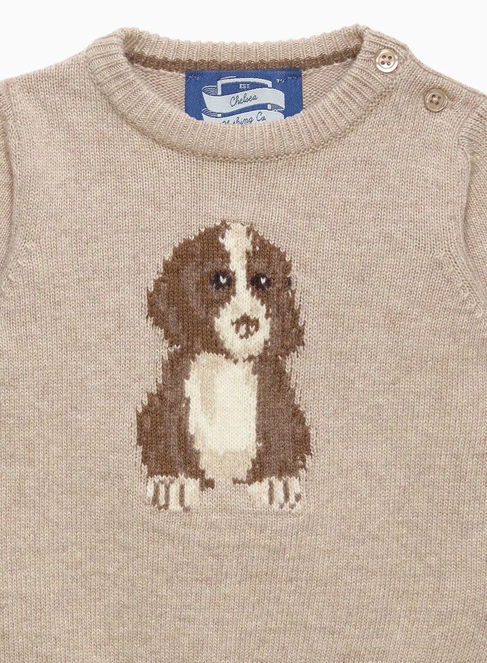 Baby Walter Dog Jumper