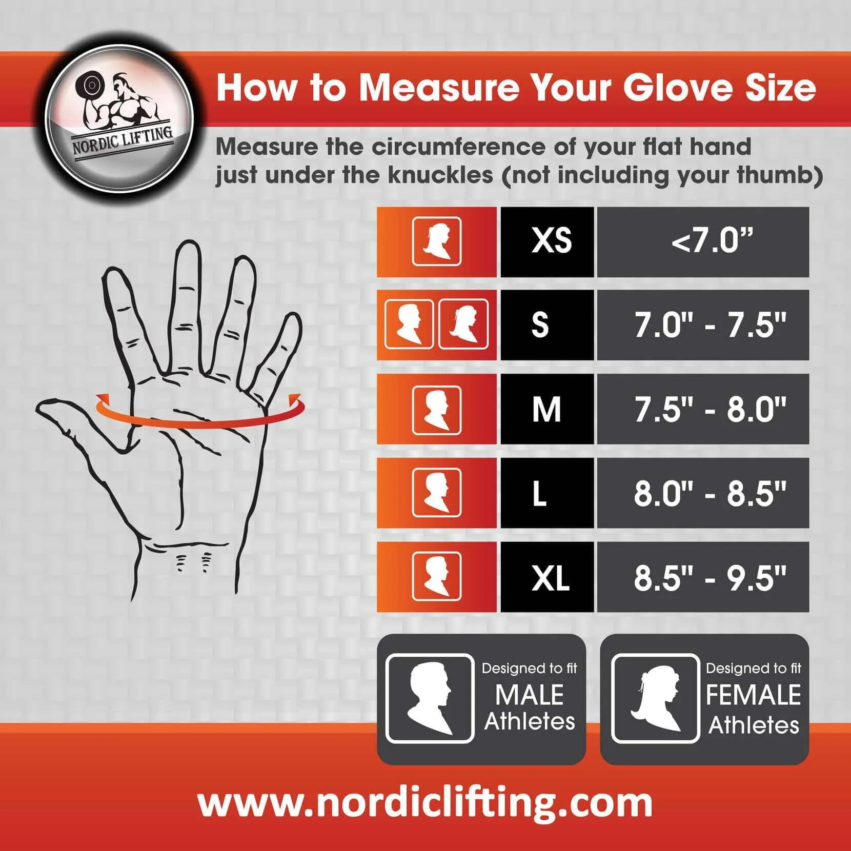 Weightlifting Gloves with 12" Wrist Support