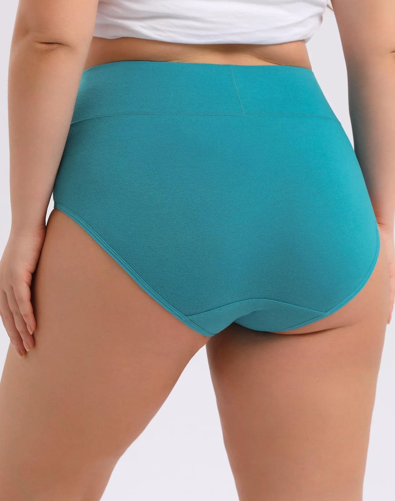 Women's Plus Size High Waisted 4-Pack（Copy）